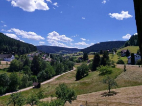 Wohnung im Tonbachtal/ Baiersbronn mit Traumausblick